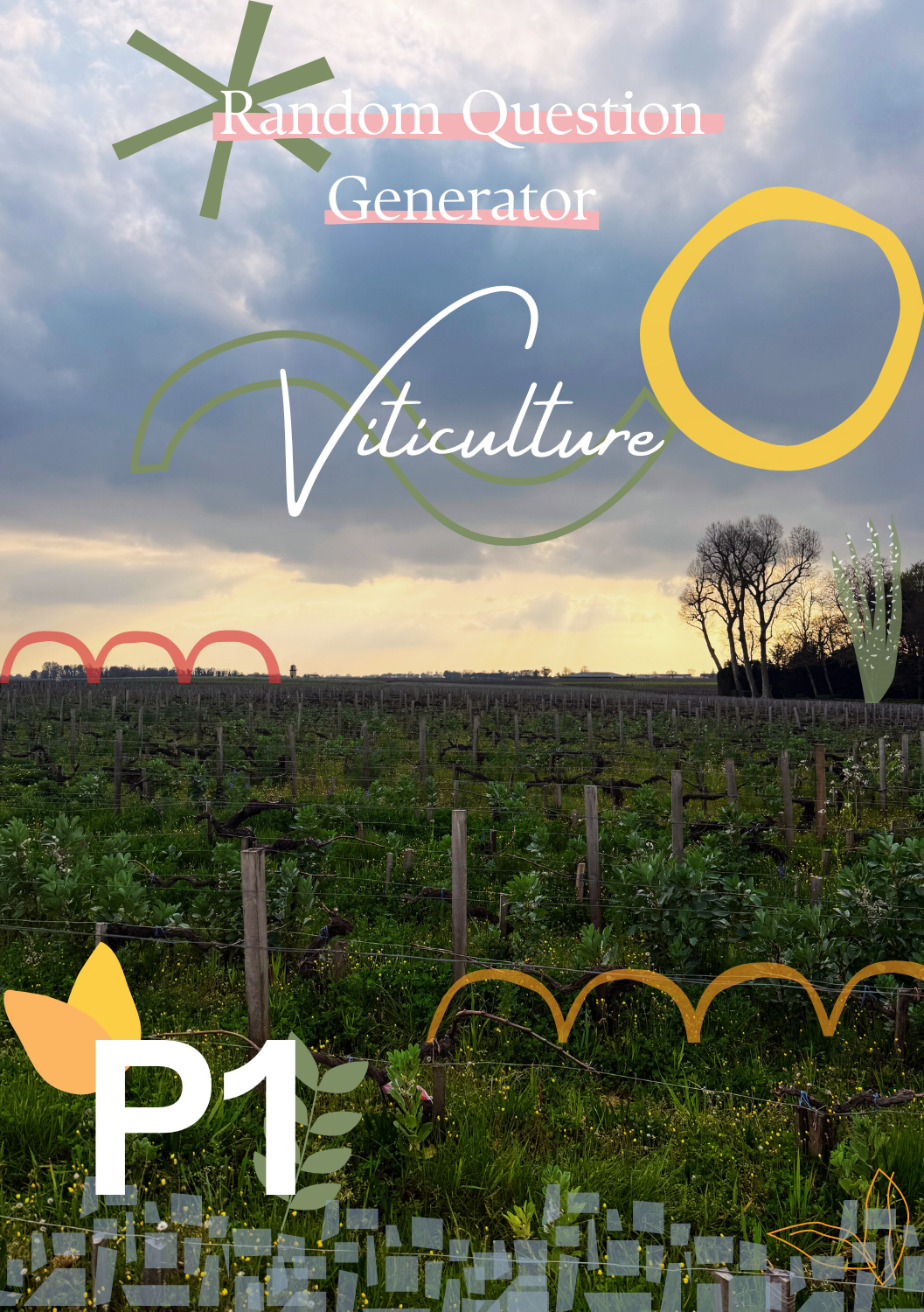 MW Stage 1 Study: P1 Viticulture – Random Theory Question Generator